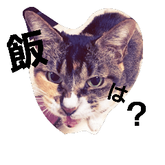 [LINEスタンプ] 小夏さま