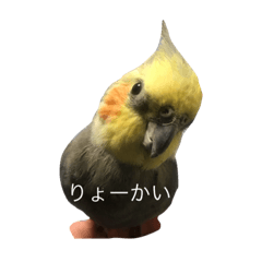 [LINEスタンプ] Our lovely bird