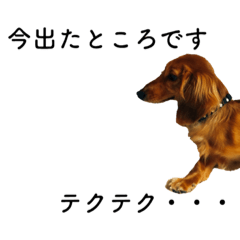 [LINEスタンプ] Pink monster of a dachshund vol.2