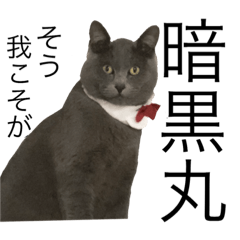 [LINEスタンプ] 暗黒丸とたまに団長