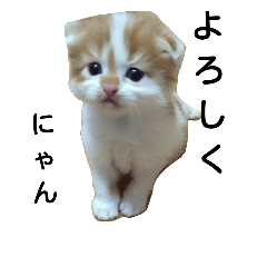 [LINEスタンプ] ぐうちび