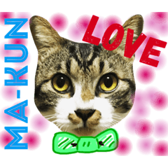 [LINEスタンプ] ねこのまーくん