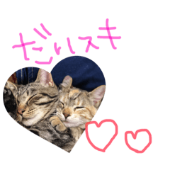 [LINEスタンプ] にゃんすた②