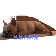 [LINEスタンプ] French bulldog pig