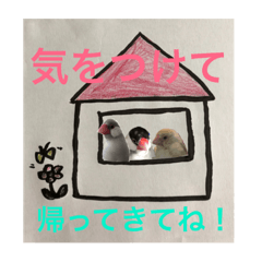 [LINEスタンプ] ニカモカモニカホッペ