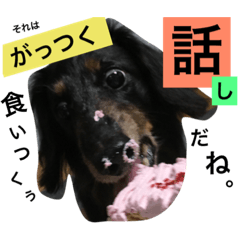 [LINEスタンプ] ぐうくんの日常