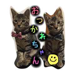 [LINEスタンプ] chikwa to chukune