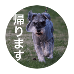 [LINEスタンプ] DOG Friend in EHIME