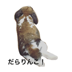 [LINEスタンプ] 毎日ブルーノ