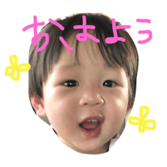 [LINEスタンプ] かいれおスタンプ