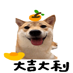 [LINEスタンプ] shiba inu bear and dada