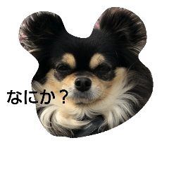 [LINEスタンプ] take ＆ pepe