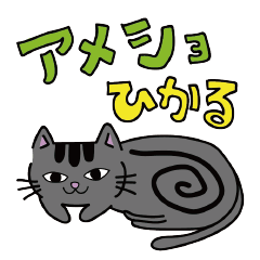 [LINEスタンプ] アメショ ひかる