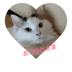 [LINEスタンプ] もものいる生活