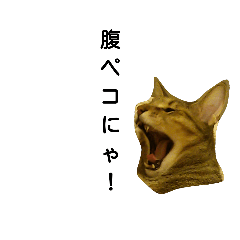 [LINEスタンプ] うちのトラジ