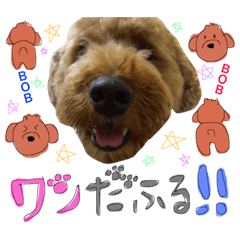 [LINEスタンプ] BOB-