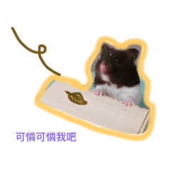 [LINEスタンプ] goldfish a hamster