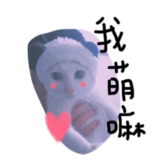 [LINEスタンプ] Meow meow*