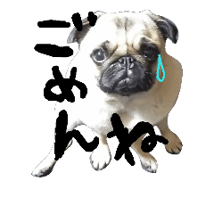 [LINEスタンプ] しゅうまい2