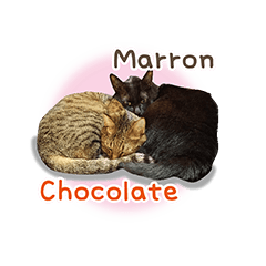 [LINEスタンプ] ショコラとマロン