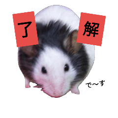 [LINEスタンプ] パンダマウス