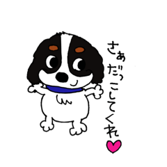 [LINEスタンプ] キャバリアポアロくんだよ！