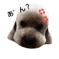 [LINEスタンプ] 4oogs