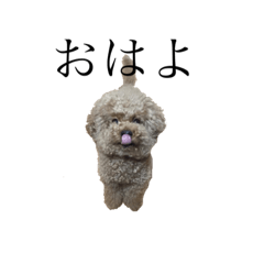 [LINEスタンプ] 僕ぱんち。