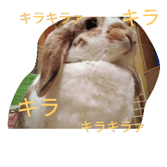 [LINEスタンプ] ターちゃまがお呼びです。