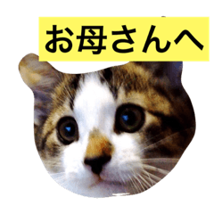 [LINEスタンプ] そらとゴン