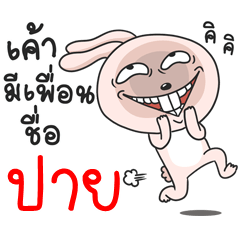 [LINEスタンプ] My friend's name is PAII.