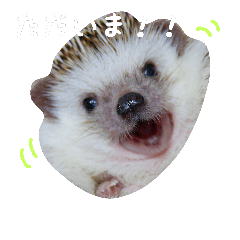 [LINEスタンプ] ハリネズミ。むぎとろすたんぷ