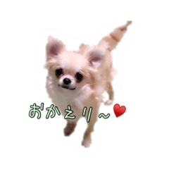 [LINEスタンプ] わんにゃんケロリン☆