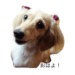 [LINEスタンプ] くるみライフ