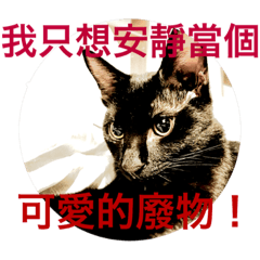 [LINEスタンプ] Black cat............