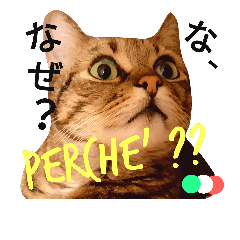 [LINEスタンプ] イタリアにゃんこ