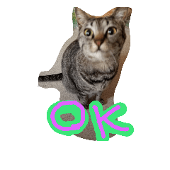 [LINEスタンプ] dekodokocat3