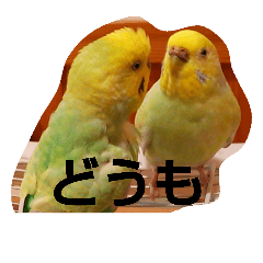 [LINEスタンプ] モフモフピーちゃん