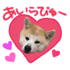 [LINEスタンプ] 大好きひめちん❤️