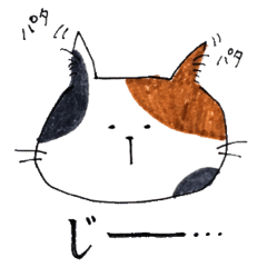 [LINEスタンプ] Days with cats