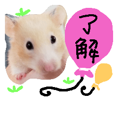 [LINEスタンプ] めろ日常使用