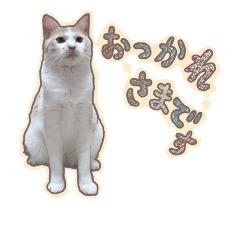 [LINEスタンプ] 猫の宇宙人ミンチャンのごきげんスタンプ