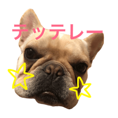 [LINEスタンプ] フレンチブルドッグ うめきち4