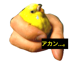 [LINEスタンプ] ようちゃんの思い出1