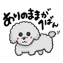 [LINEスタンプ] サトウヒカリのスタンプ