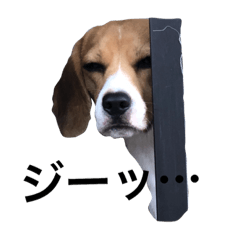 [LINEスタンプ] そのだんち