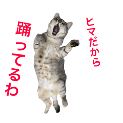 [LINEスタンプ] うちの猫の絵と写真