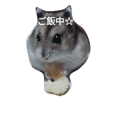 [LINEスタンプ] ハムスターのあんずもち