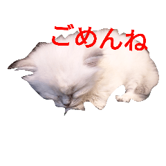 [LINEスタンプ] ふーこ