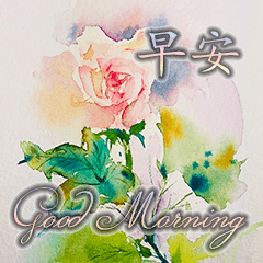 [LINEスタンプ] Watercolor floral greeting